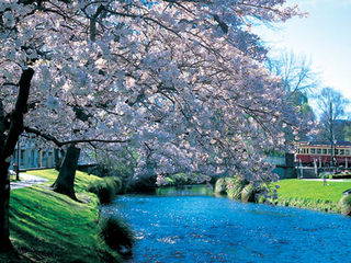 Avon river